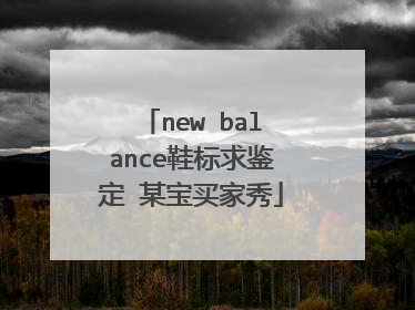 new balance鞋标求鉴定 某宝买家秀