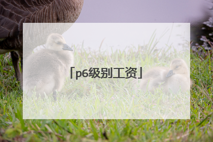 p6级别工资