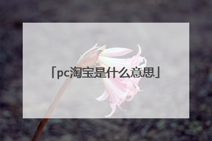 pc淘宝是什么意思
