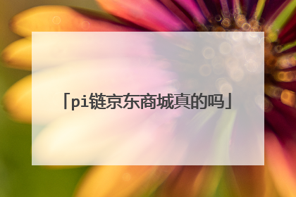 pi链京东商城真的吗