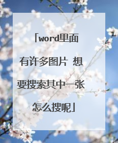 word里面有许多图片 想要搜索其中一张 怎么搜呢