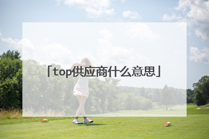 top供应商什么意思