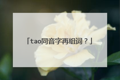tao同音字再组词?