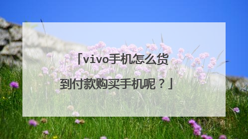 vivo手机怎么货到付款购买手机呢?