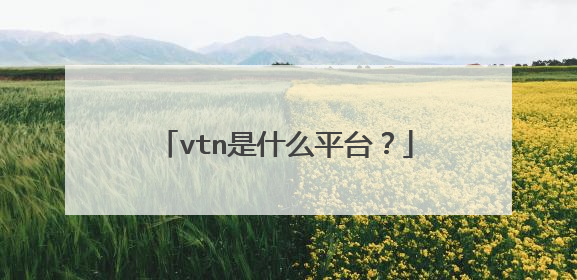 vtn是什么平台?