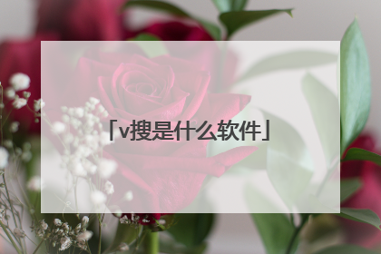 v搜是什么软件