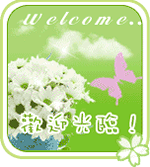 欢迎光临