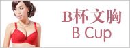 宝贝分类 B杯文胸