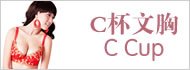 宝贝分类 C杯文胸