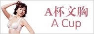 宝贝分类 A杯文胸